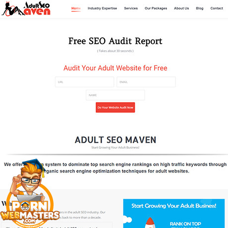 Adult SEO Maven