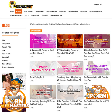 VRPornCat Blog